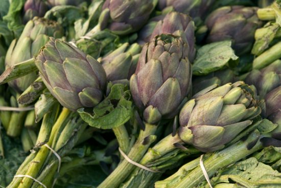 artichokes2_sm