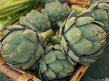 artichokes_sm